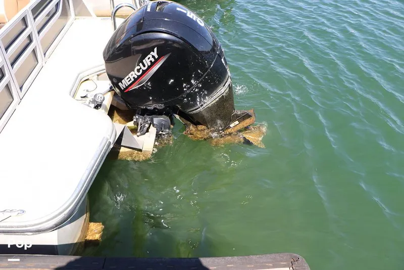 Slide: The Image of Lowe SS230WT-TLX 2024 - 16333103