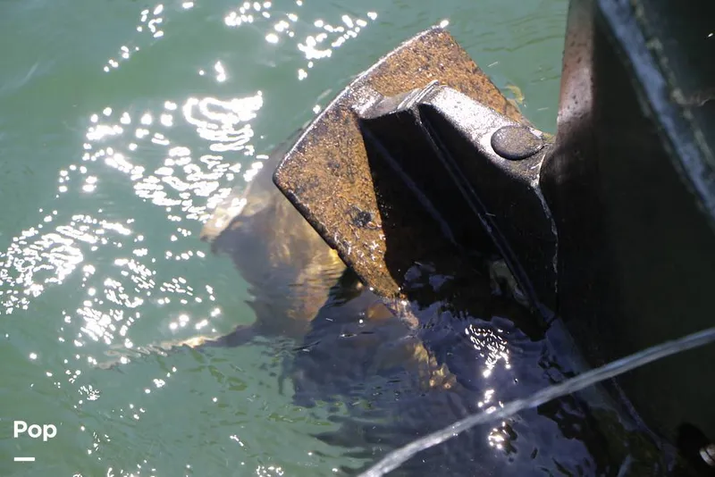 Slide: The Image of Lowe SS230WT-TLX 2024 - 16333107