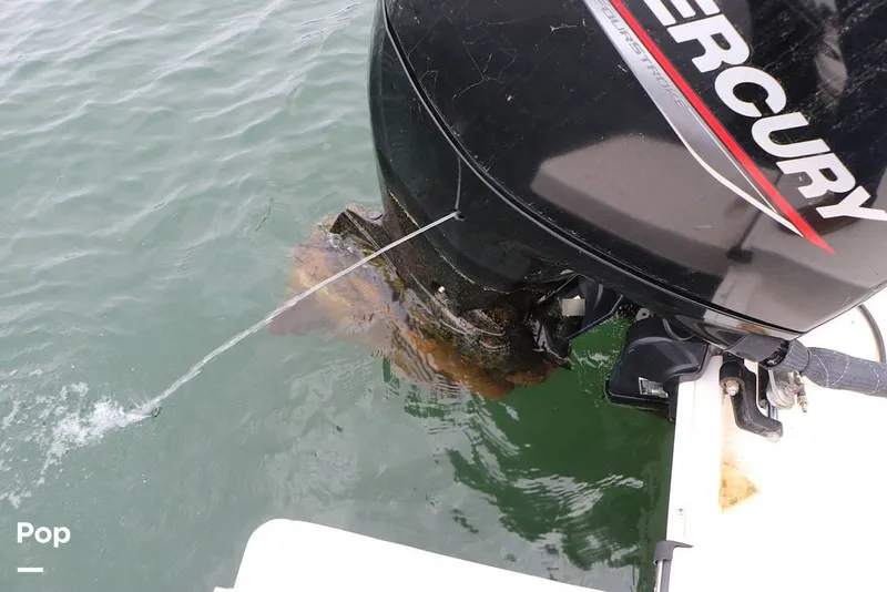 Slide: The Image of Bayliner DX2200 2023 - 16324907