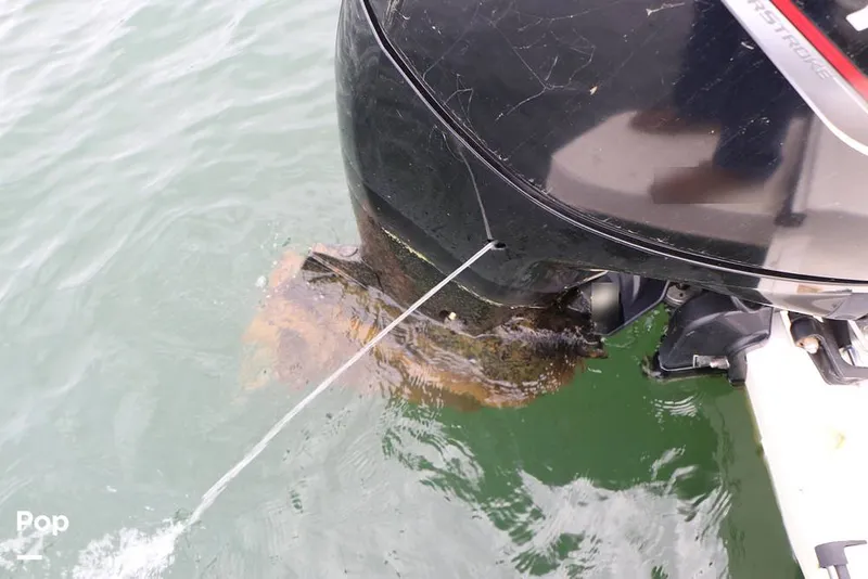 Slide: The Image of Bayliner DX2200 2023 - 16324908