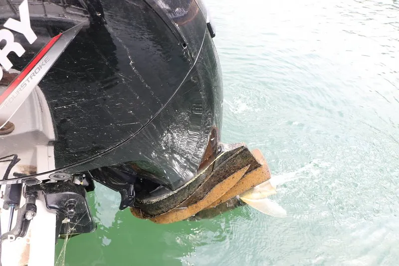 Slide: The Image of Bayliner VR6 OB 2024 - 16324848