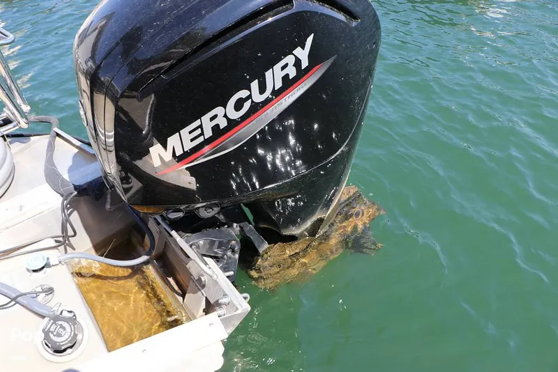 Slide: The Image of Lowe SS 230W 2024 - 16337978