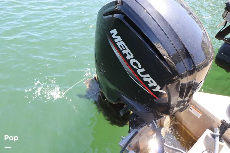 Slide: The Image of Lowe SS 230W 2024 - 16337979