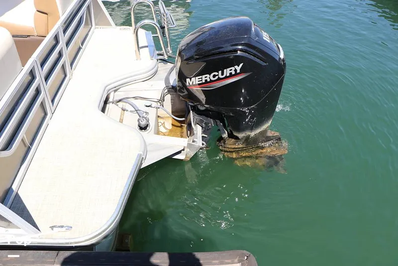 Slide: The Image of Lowe SS 230W 2024 - 16337996