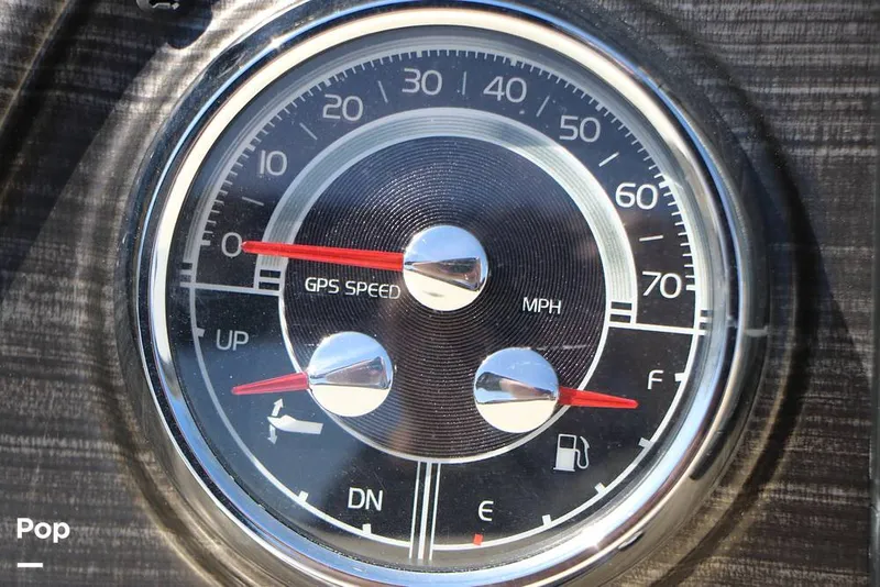 Slide: The Image of Lowe SS 230W 2024 - 16337947