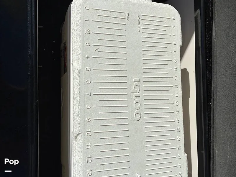 Slide: The Image of Regal 2800 2019 - 16175707