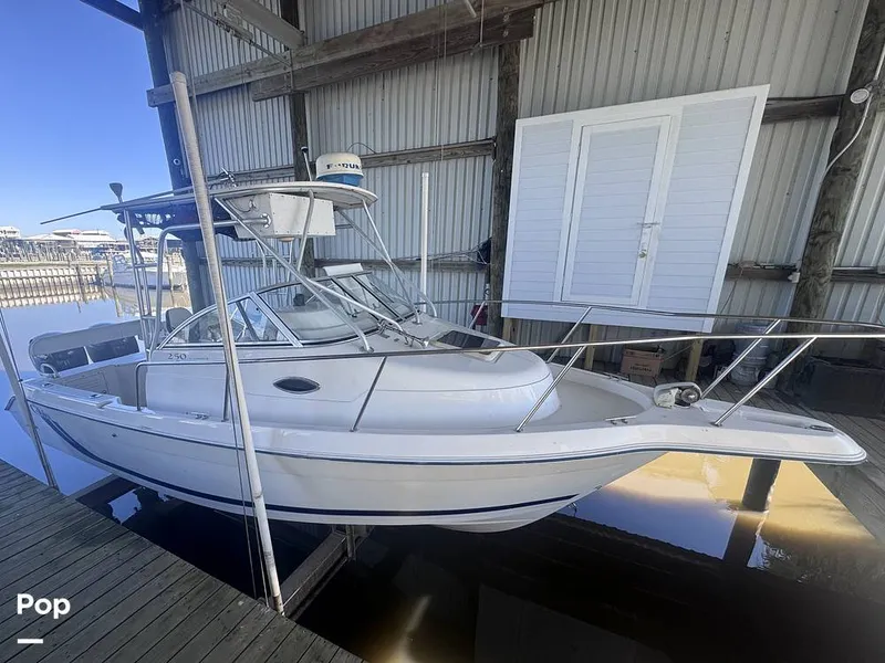 Slide: The Image of Cobia 250WA 2001 - 16188329