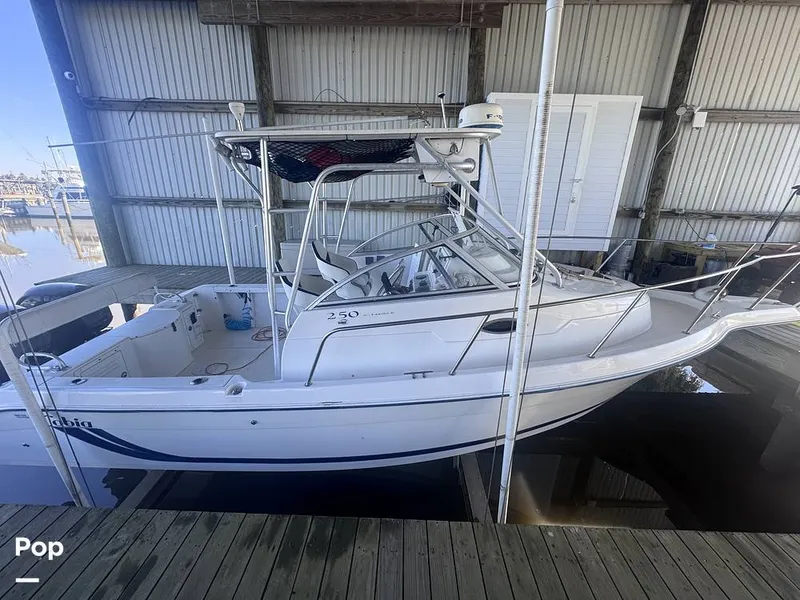 Slide: The Image of Cobia 250WA 2001 - 16188330