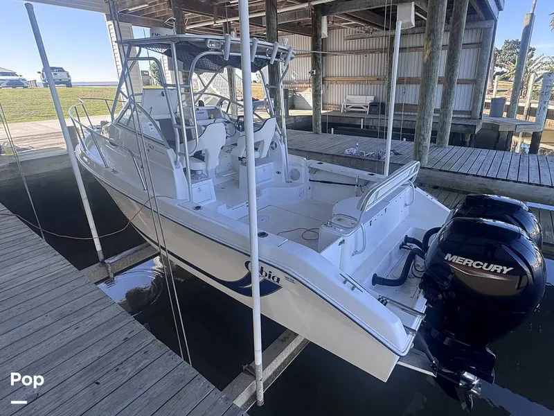 Slide: The Image of Cobia 250WA 2001 - 16188322