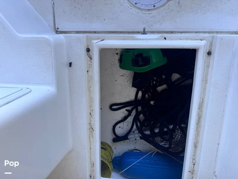 Slide: The Image of Cobia 250WA 2001 - 16188367