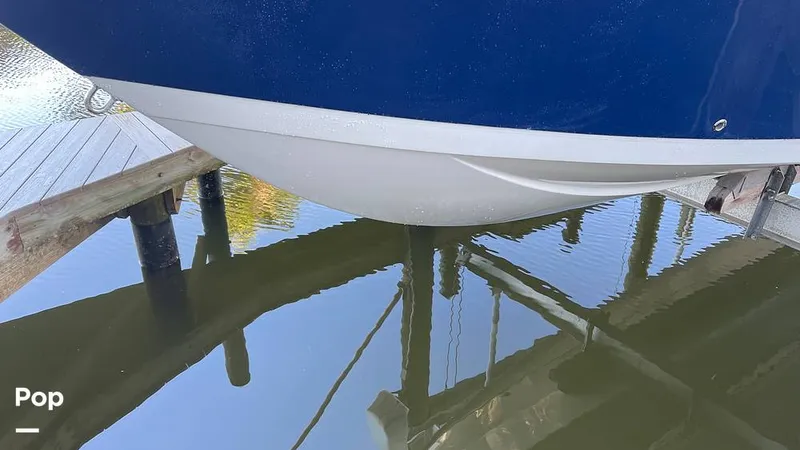 Slide: The Image of Sailfish 275 DC 2016 - 16168323