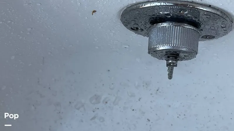 Slide: The Image of Sailfish 275 DC 2016 - 16168331