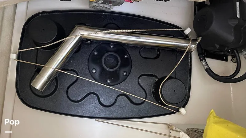 Slide: The Image of Sailfish 275 DC 2016 - 16168380