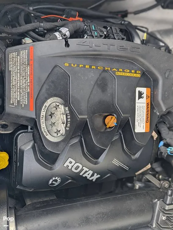 Slide: The Image of Scarab 195 ID 2021 - 16177106