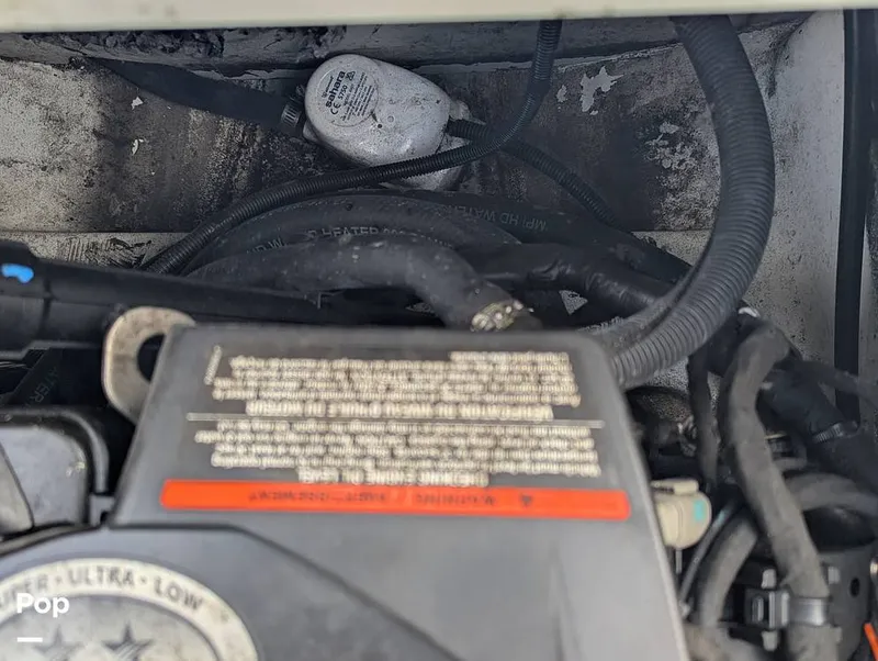 Slide: The Image of Scarab 195 ID 2021 - 16177108