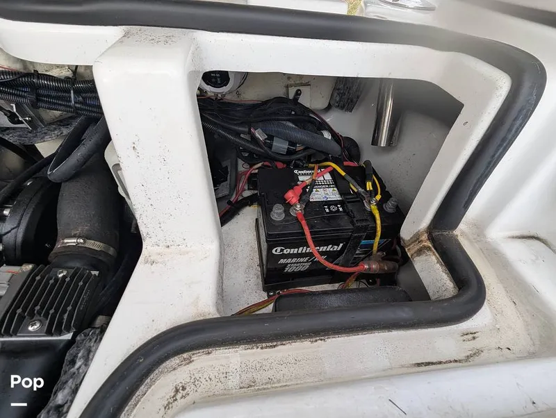 Slide: The Image of Scarab 195 ID 2021 - 16177110