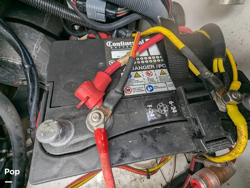 Slide: The Image of Scarab 195 ID 2021 - 16177111