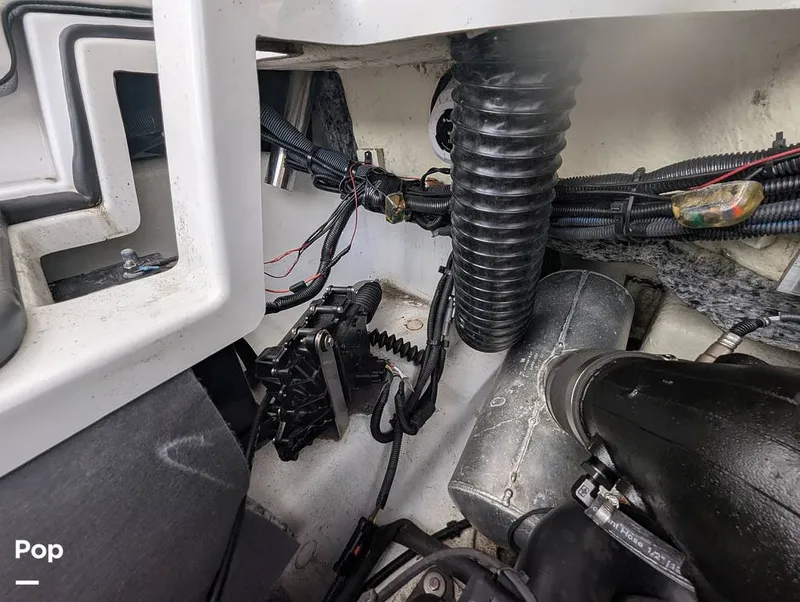 Slide: The Image of Scarab 195 ID 2021 - 16177112