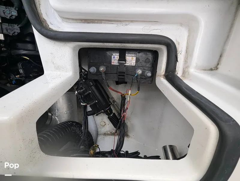 Slide: The Image of Scarab 195 ID 2021 - 16177113