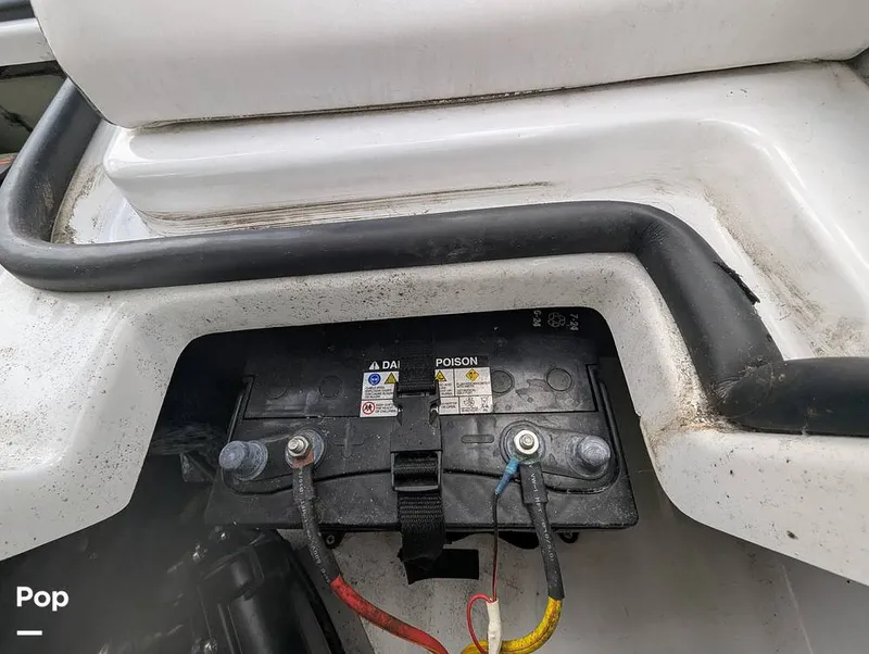 Slide: The Image of Scarab 195 ID 2021 - 16177114