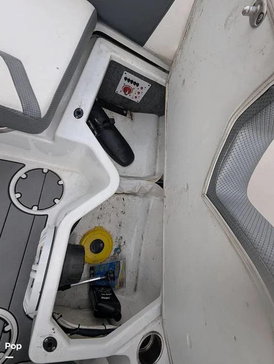 Slide: The Image of Scarab 195 ID 2021 - 16177115