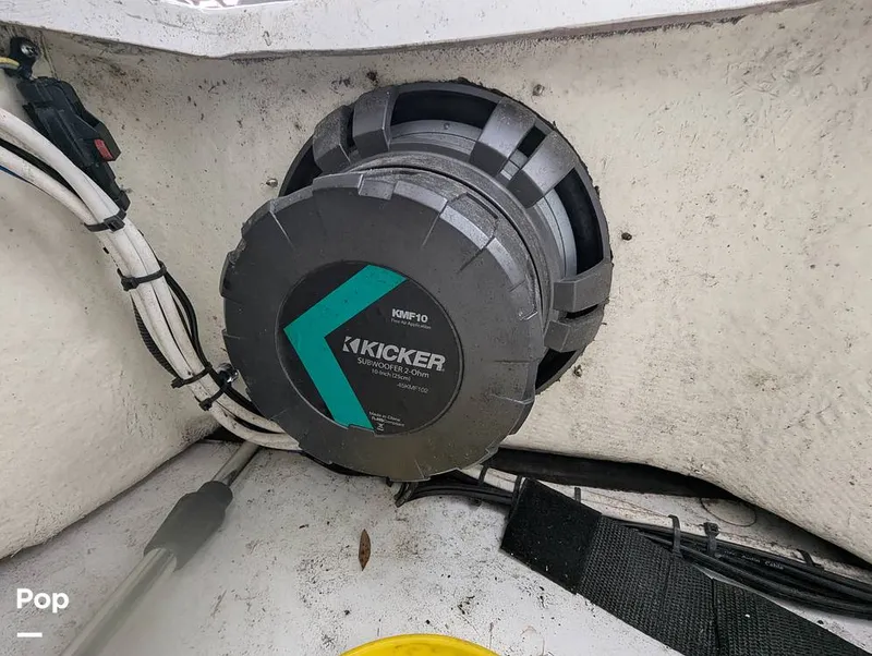 Slide: The Image of Scarab 195 ID 2021 - 16177118