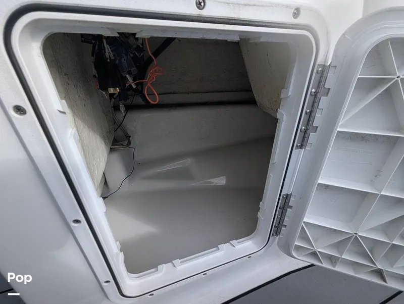 Slide: The Image of Scarab 195 ID 2021 - 16177128