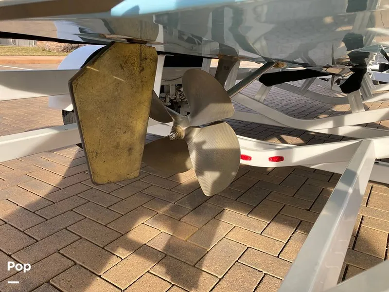 Slide: The Image of Tige Z1/SK 2022 - 16169592