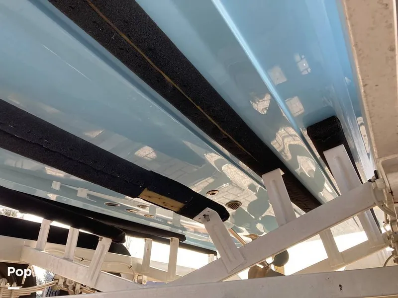 Slide: The Image of Tige Z1/SK 2022 - 16169745