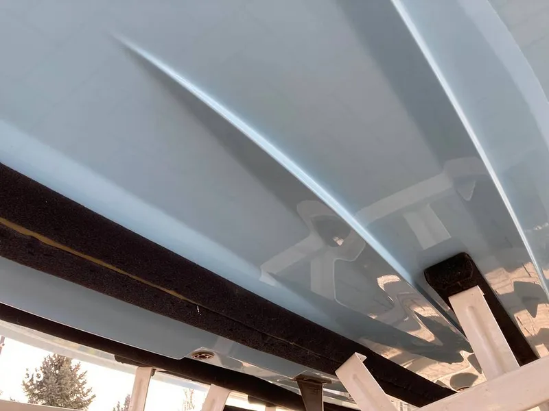 Slide: The Image of Tige Z1/SK 2022 - 16169746