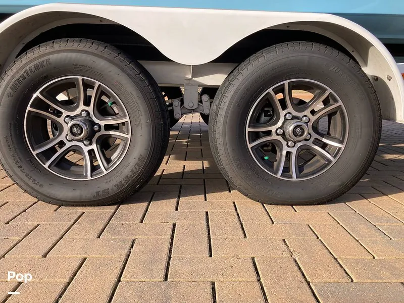 Slide: The Image of Tige Z1/SK 2022 - 16169584