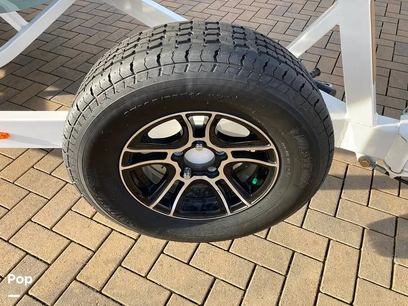 Slide: The Image of Tige Z1/SK 2022 - 16169581