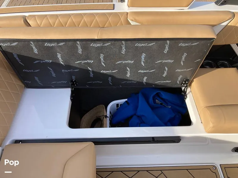 Slide: The Image of Tige Z1/SK 2022 - 16169630