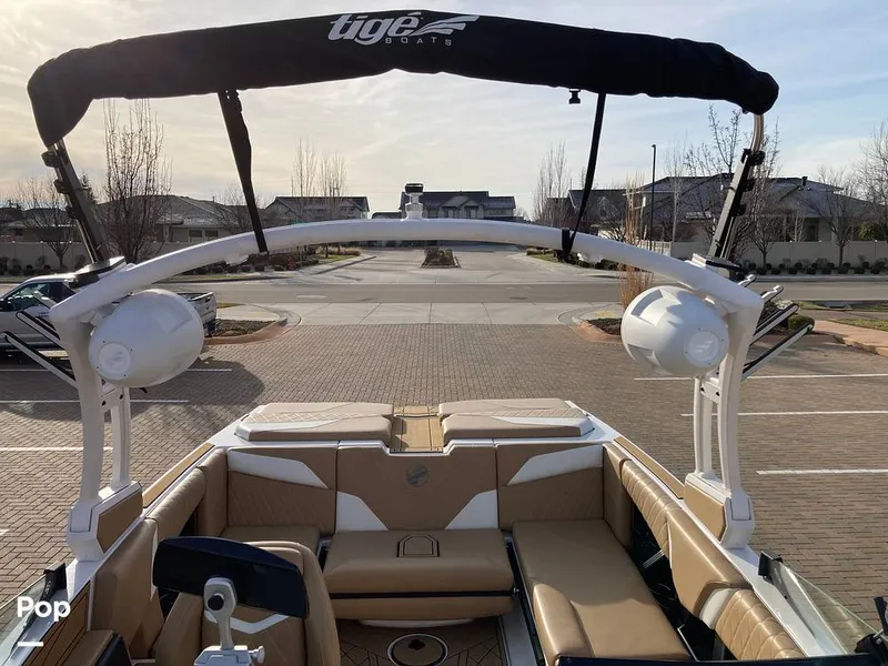 Slide: The Image of Tige Z1/SK 2022 - 16169697