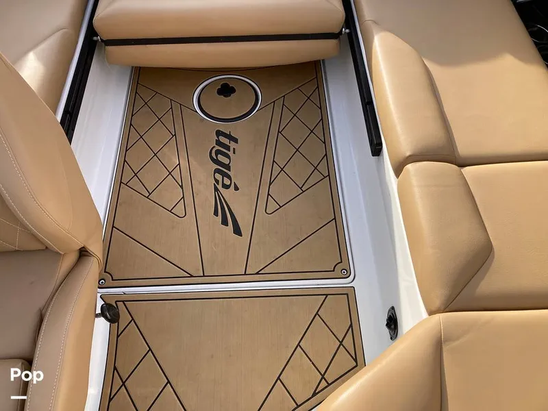 Slide: The Image of Tige Z1/SK 2022 - 16169698