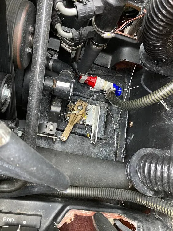 Slide: The Image of Tige Z1/SK 2022 - 16169705