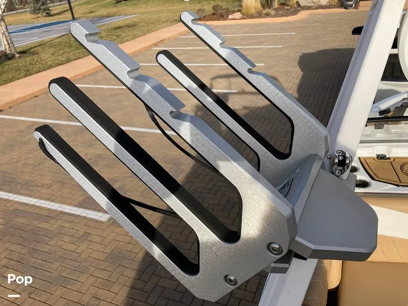 Slide: The Image of Tige Z1/SK 2022 - 16169711