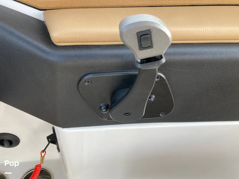 Slide: The Image of Tige Z1/SK 2022 - 16169727