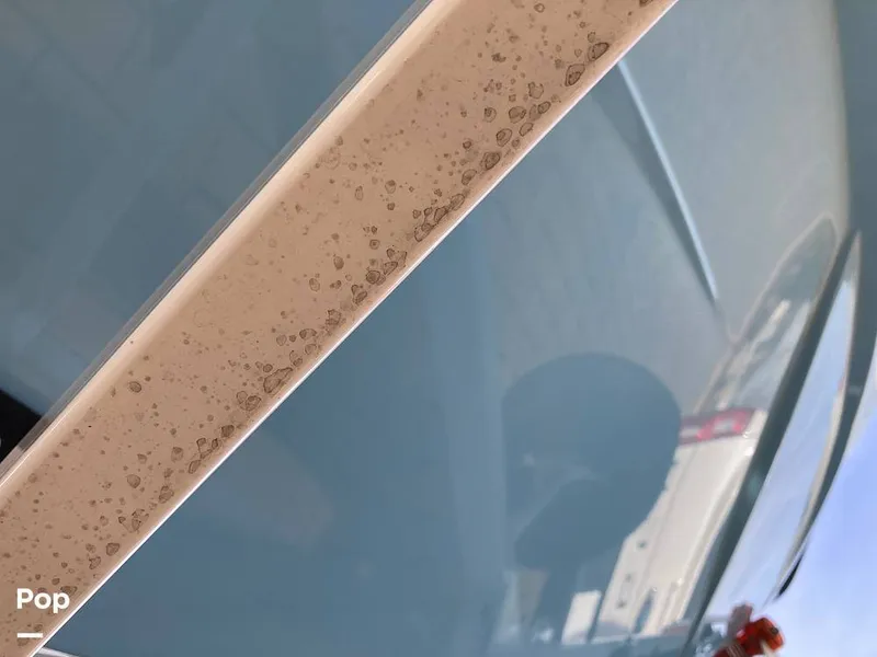 Slide: The Image of Tige Z1/SK 2022 - 16169737