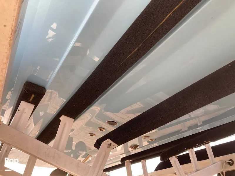 Slide: The Image of Tige Z1/SK 2022 - 16169740