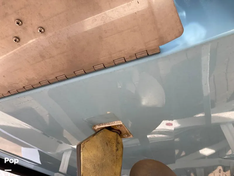 Slide: The Image of Tige Z1/SK 2022 - 16169741