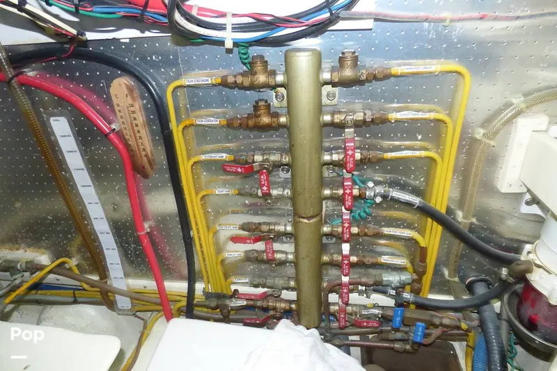 Slide: The Image of Defever 45 2009 - 16195291