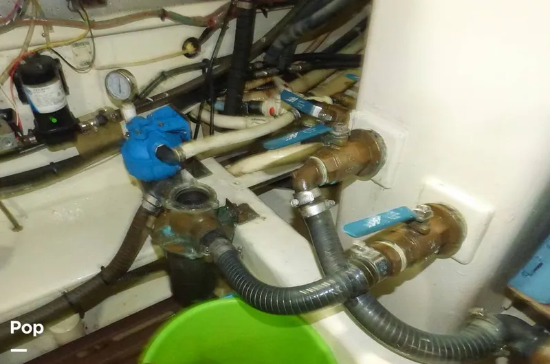 Slide: The Image of Defever 45 2009 - 16195295