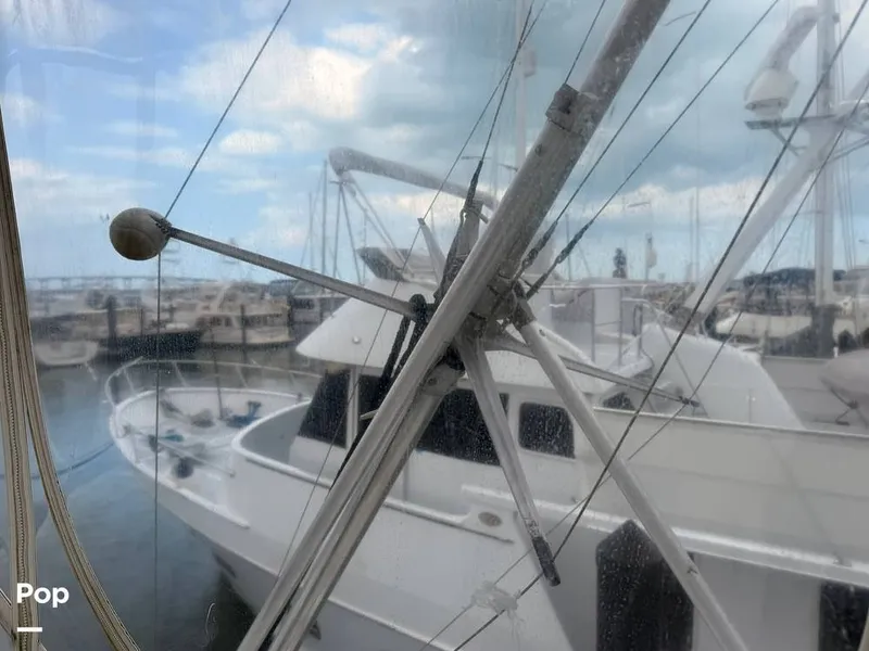 Slide: The Image of Bertram 42 Sportfish 1981 - 16488988