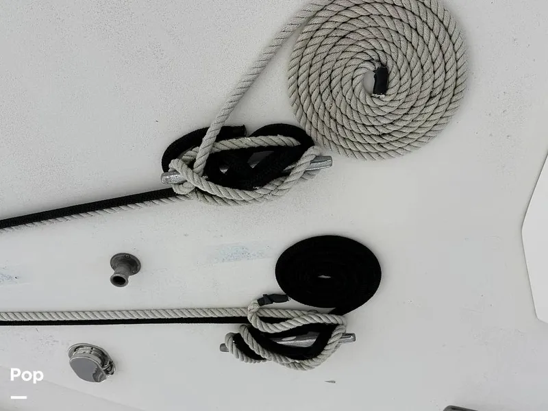 Slide: The Image of Bertram 42 Sportfish 1981 - 16489007