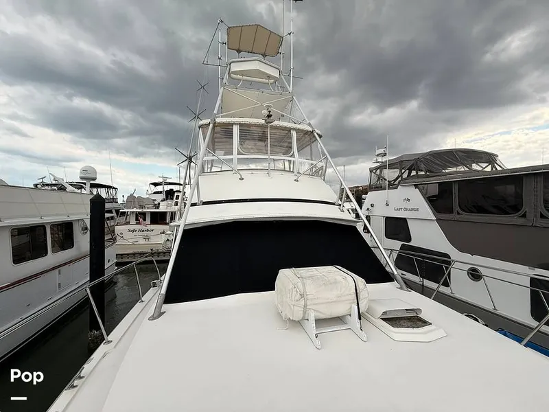 Slide: The Image of Bertram 42 Sportfish 1981 - 16489008
