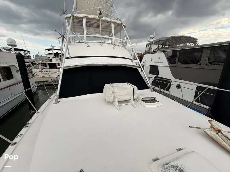 Slide: The Image of Bertram 42 Sportfish 1981 - 16489009