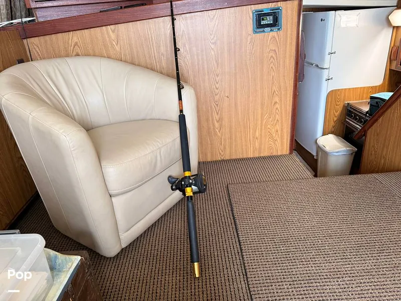 Slide: The Image of Bertram 42 Sportfish 1981 - 16489018