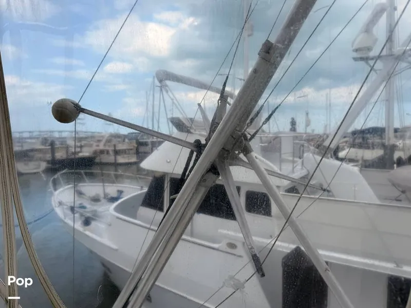 Slide: The Image of Bertram 42 Sportfish 1981 - 16245571