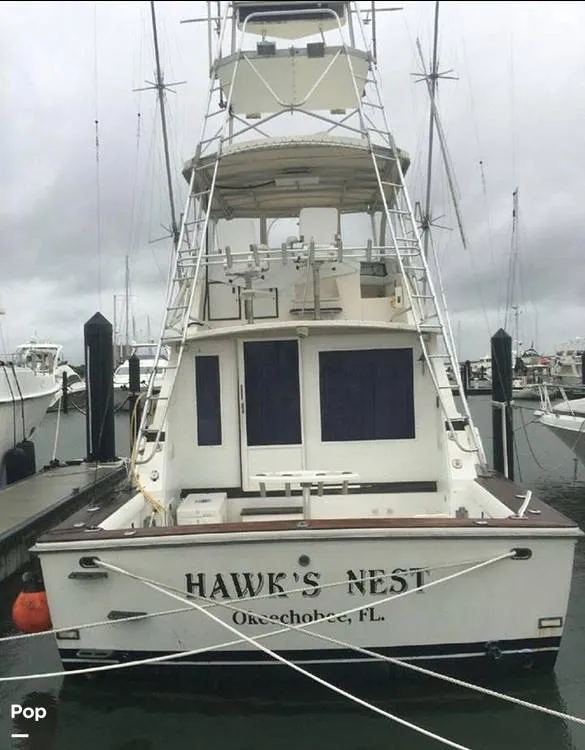 Slide: The Image of Bertram 42 Sportfish 1981 - 16161735